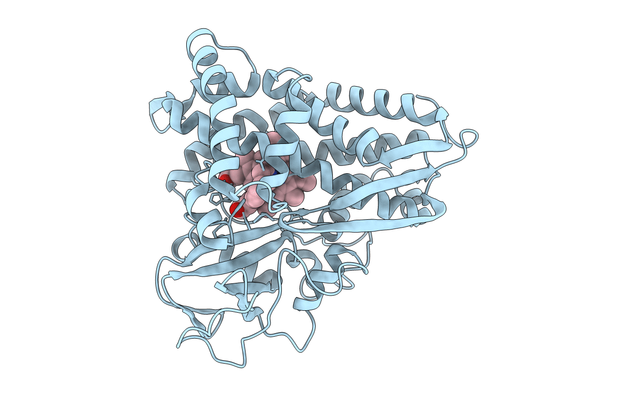 1PHD image