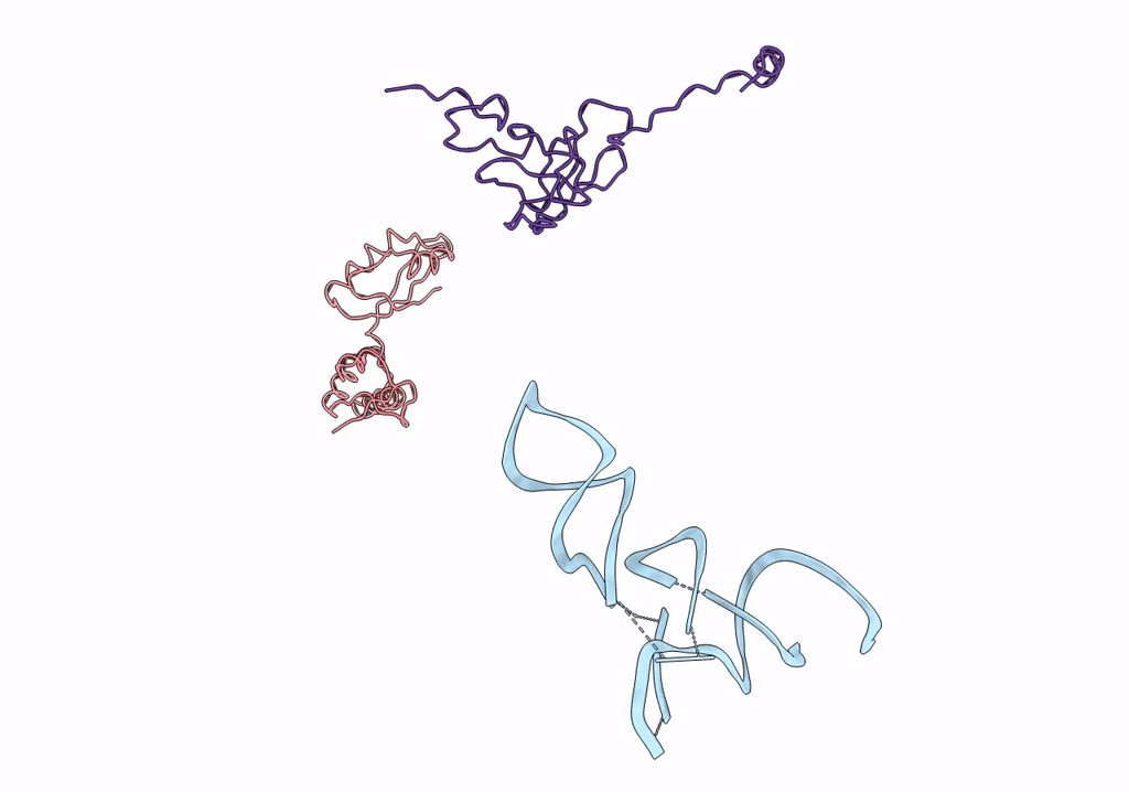 1PN8 image