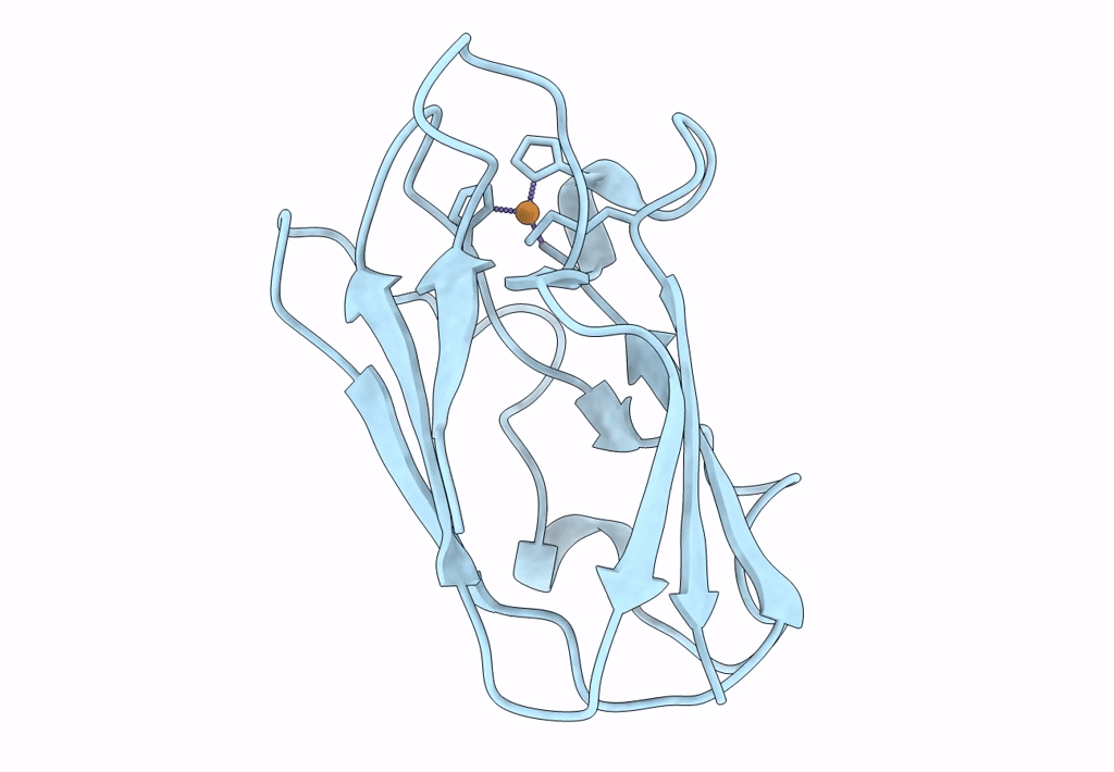 1PND image