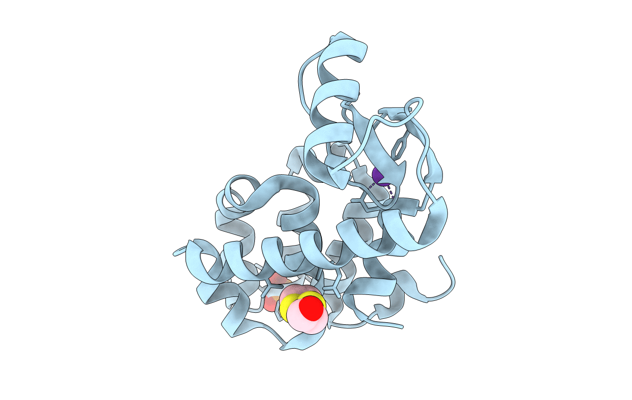 1PQM image