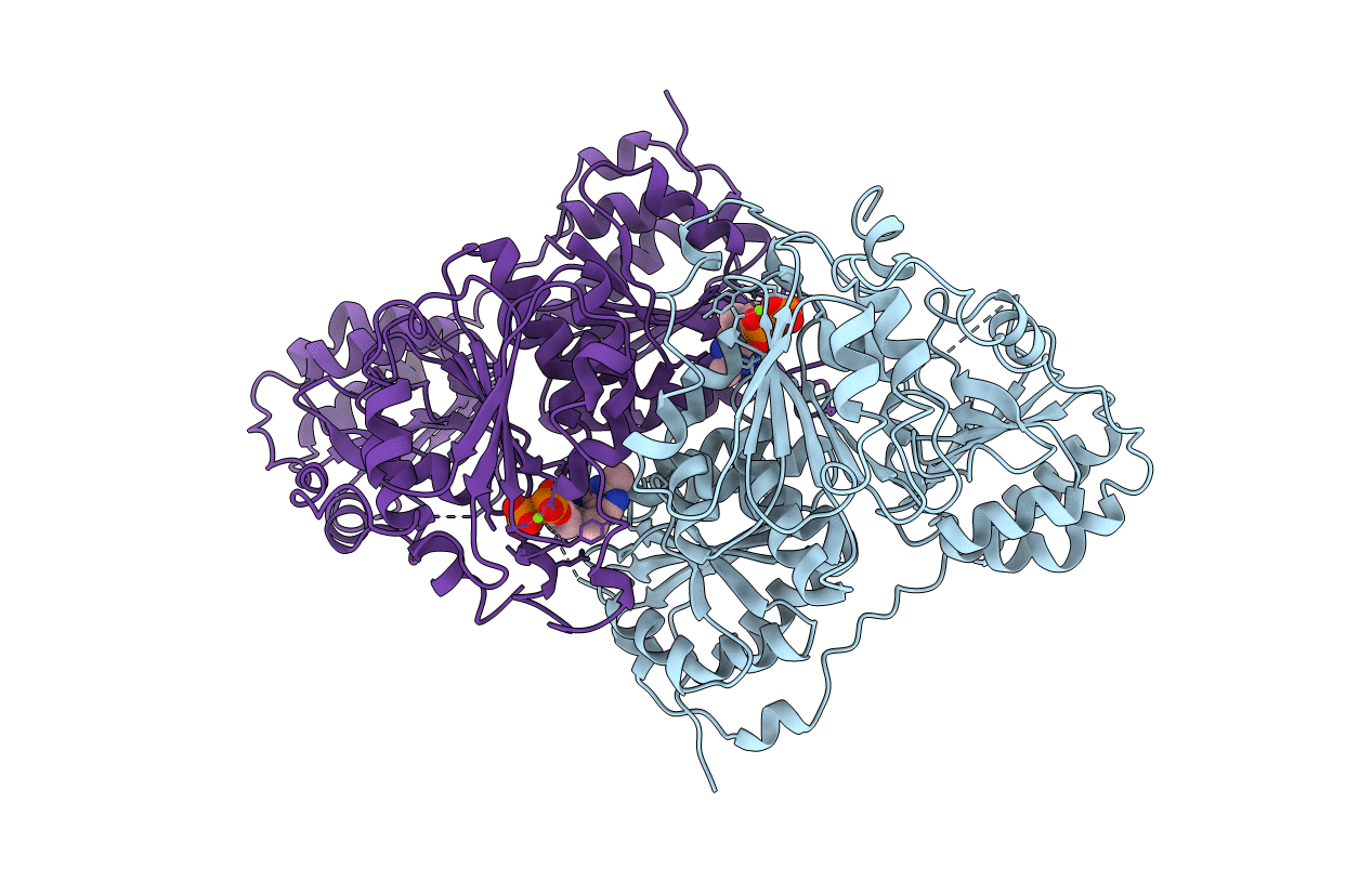 1PYD image