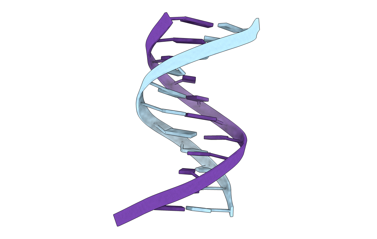 1PYJ image