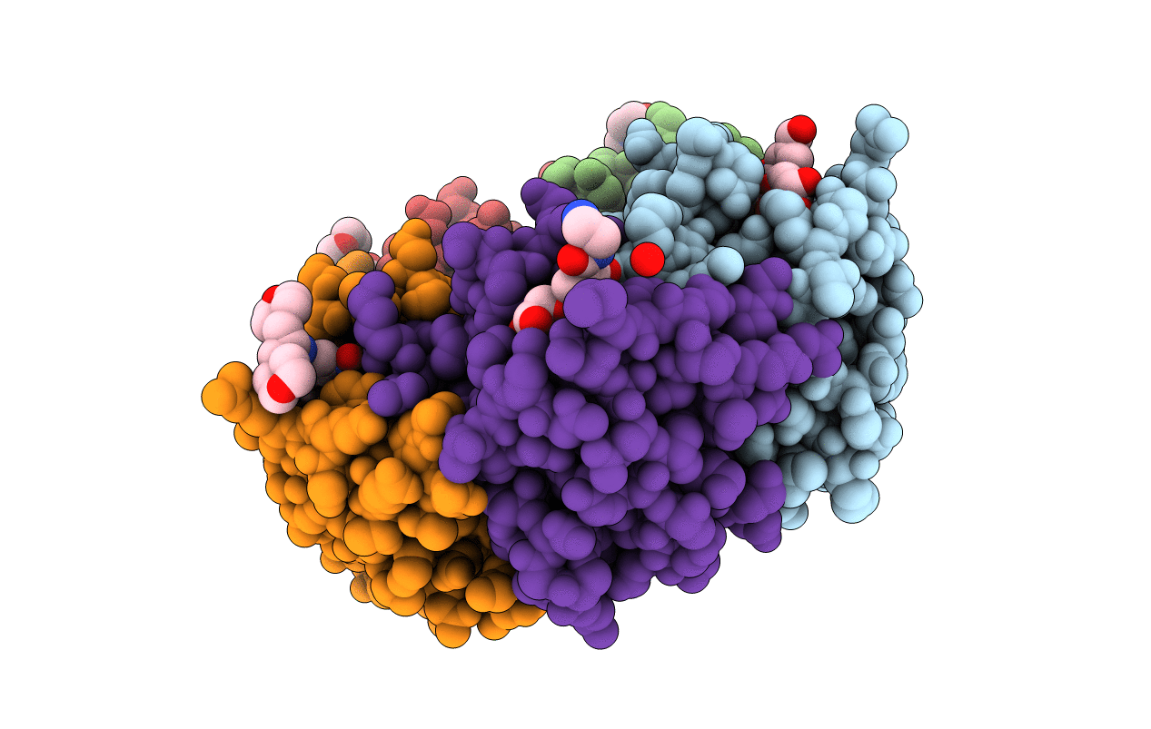 1PZI image