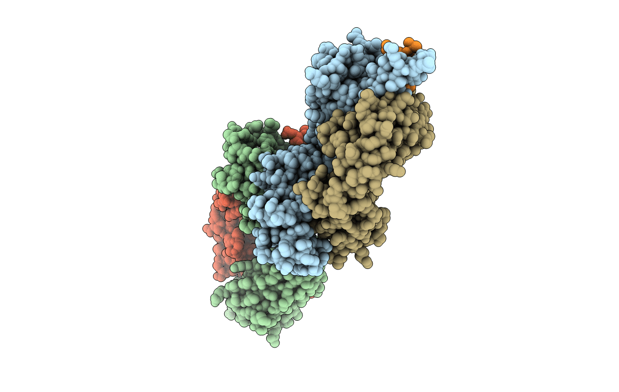 1Q1J image