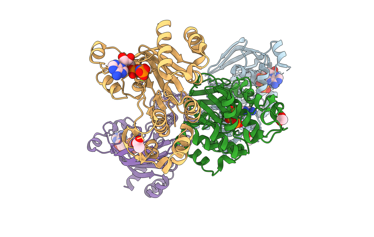 1Q3H image