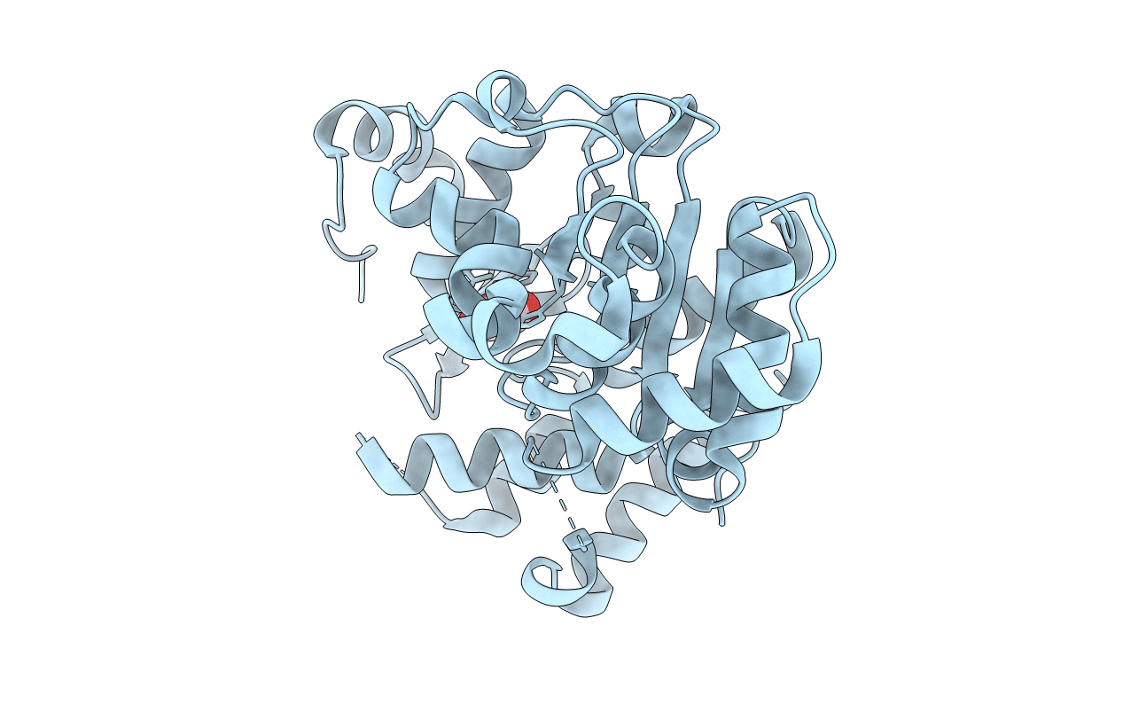 1Q44 image