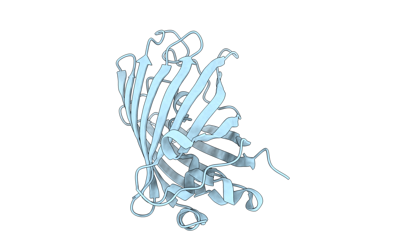 1Q4A image