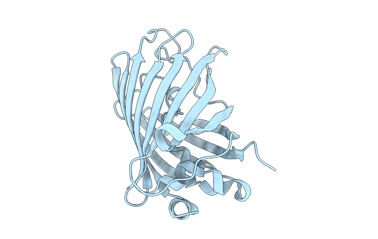 1Q4C image