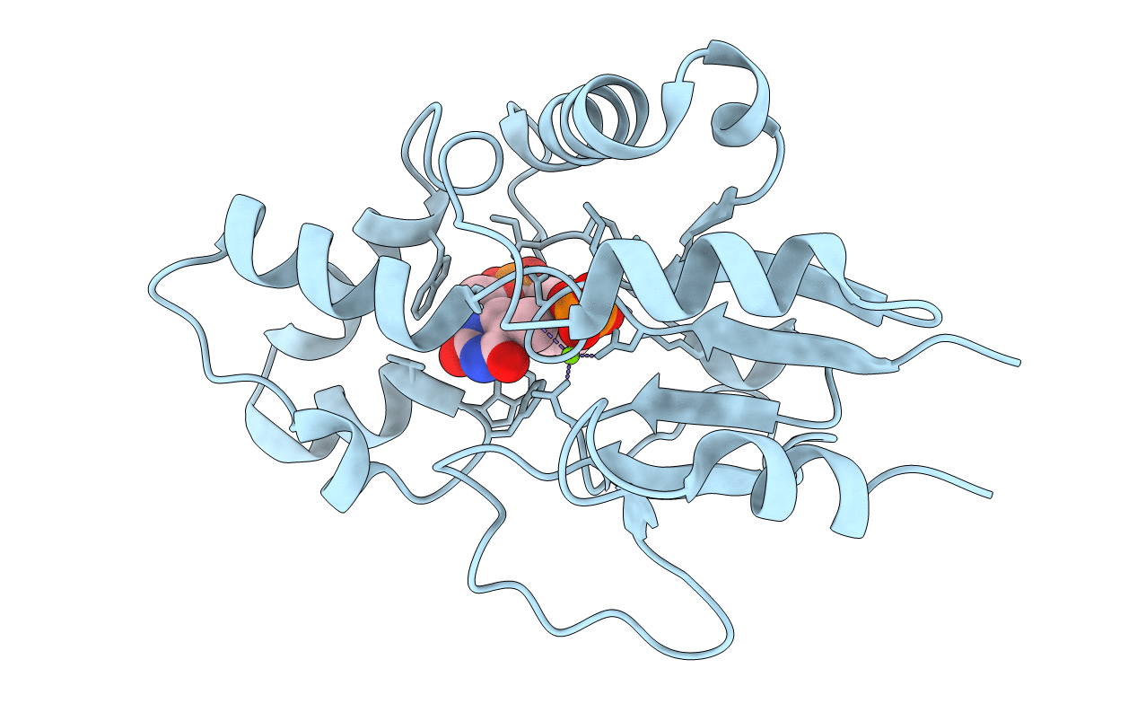 1Q91 image