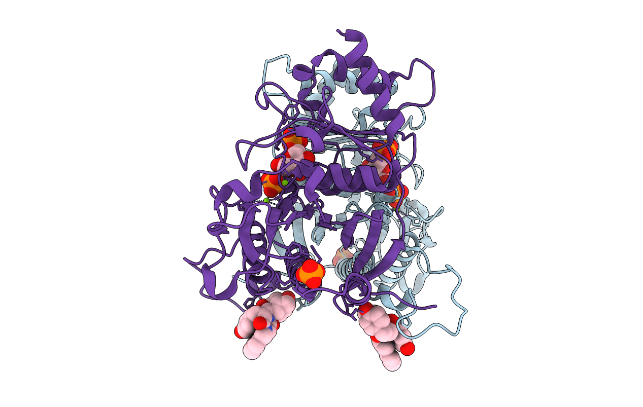 1Q9D image
