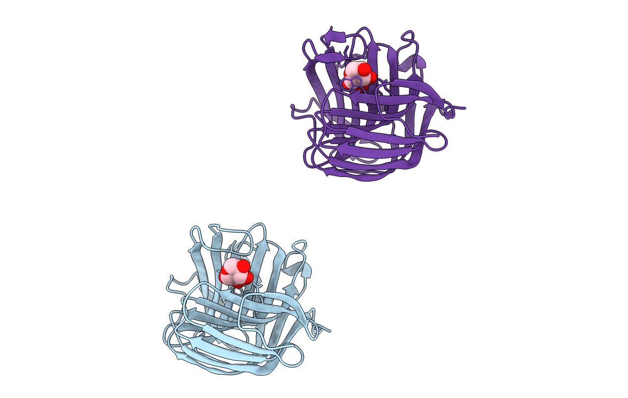 1QH7 image