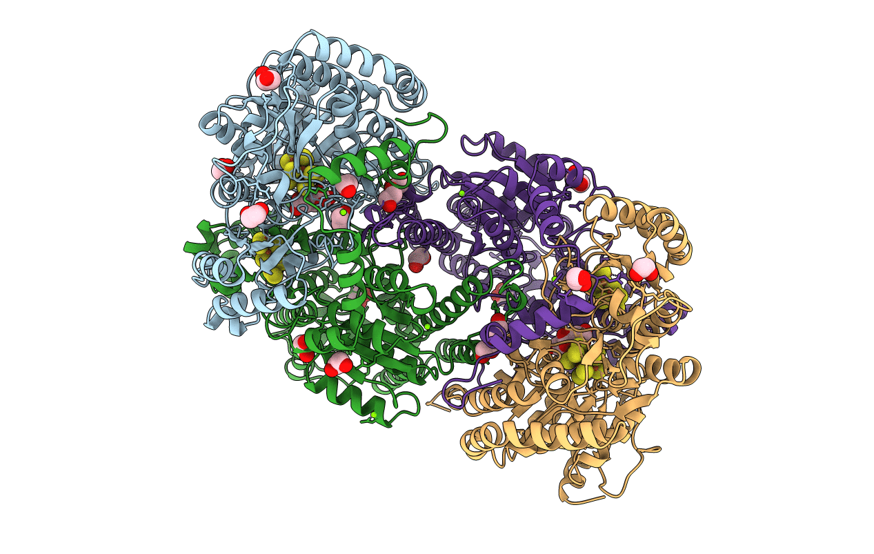 1QH8 image