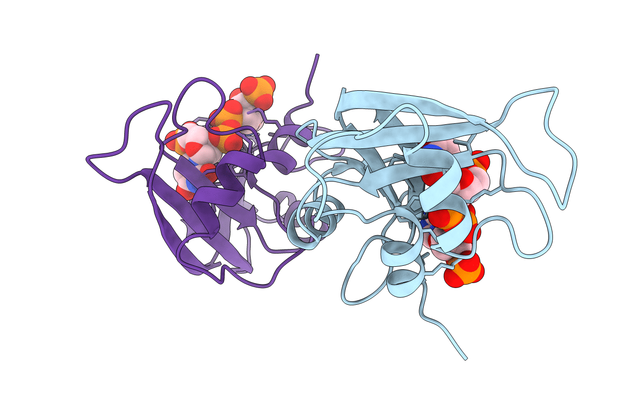 1QHC image