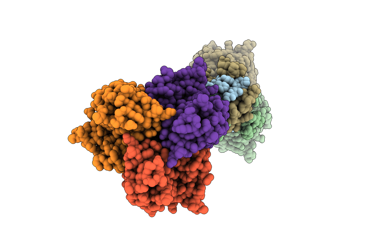 1QIU image