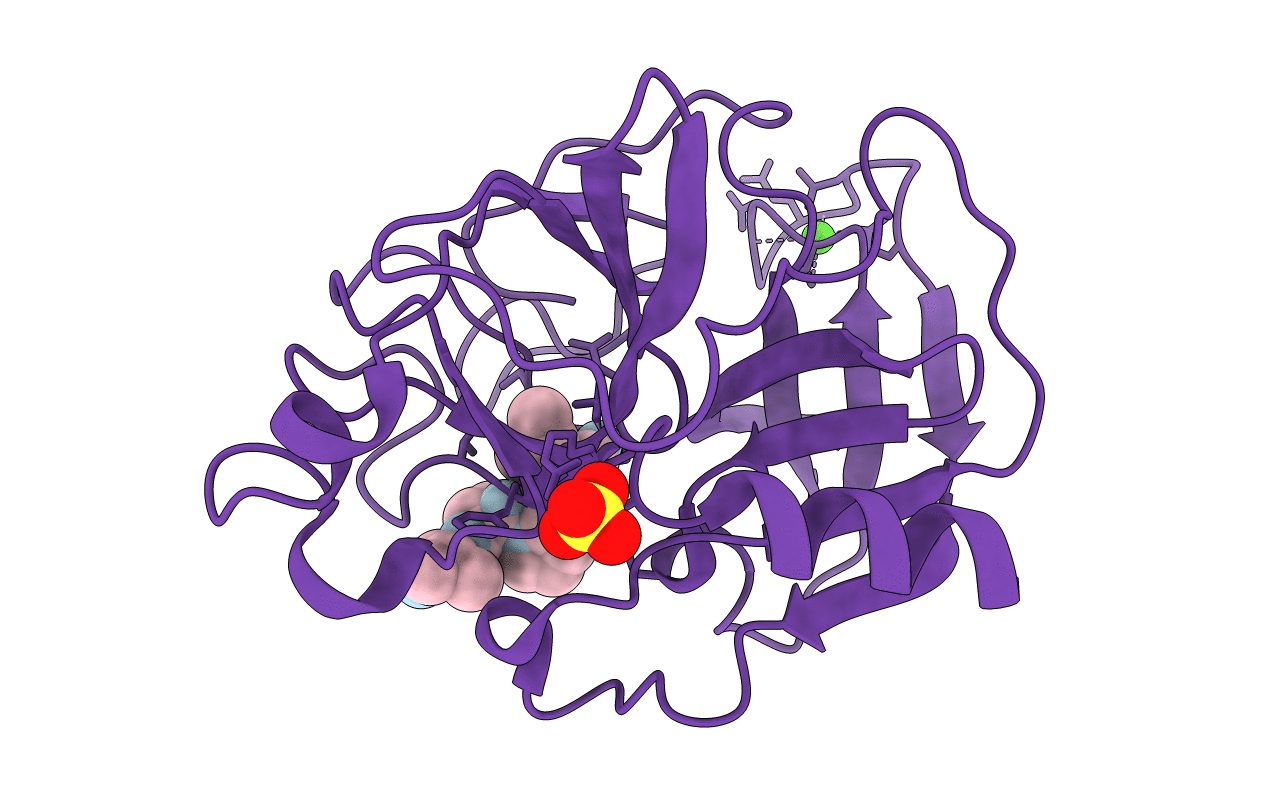 1QIX image