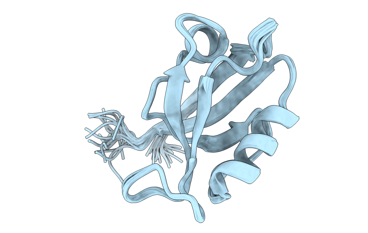 1QLC image