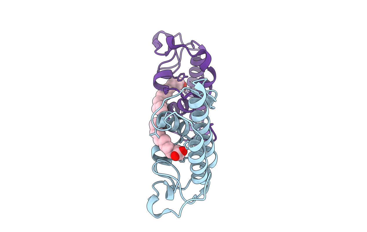 1QLL image