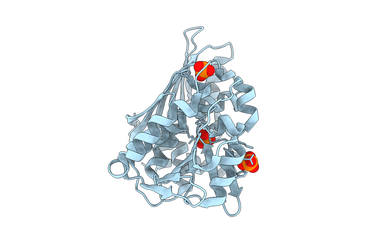 1QLM image