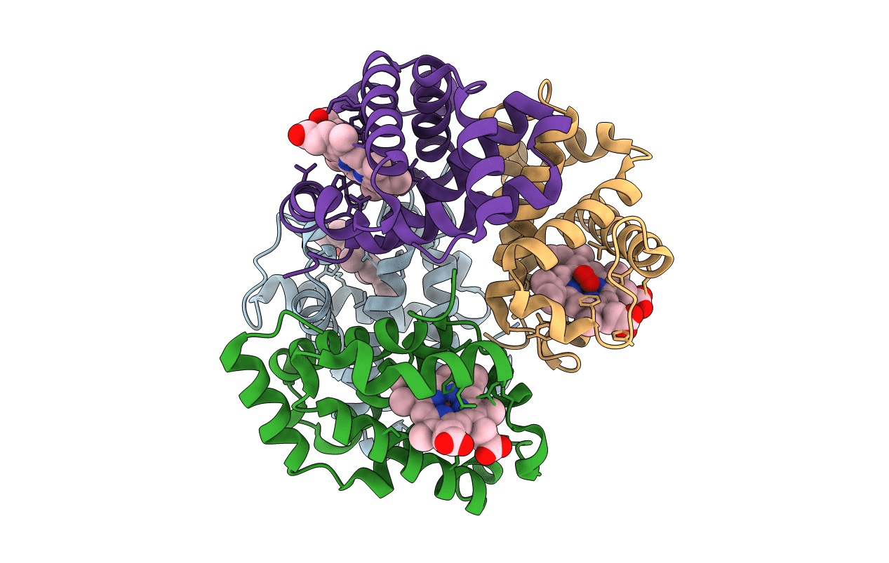 1QPW image