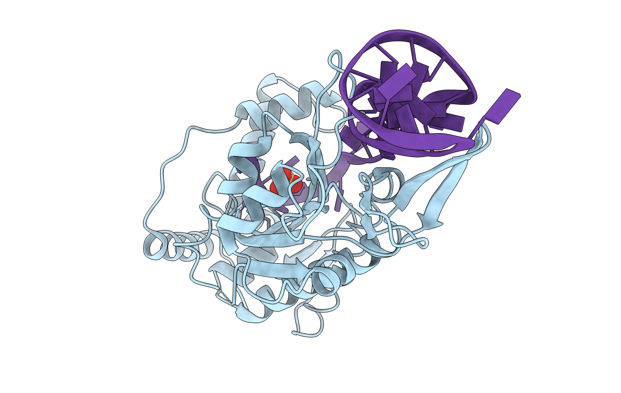 1QX0 image