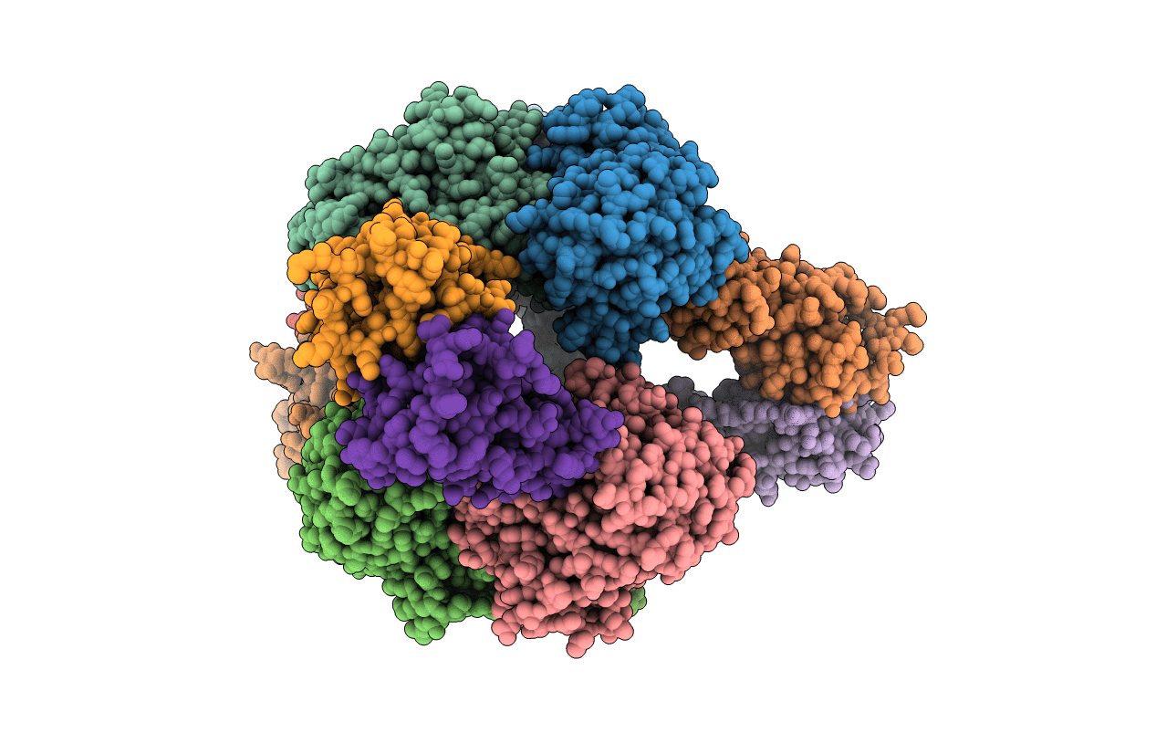 1R0B image