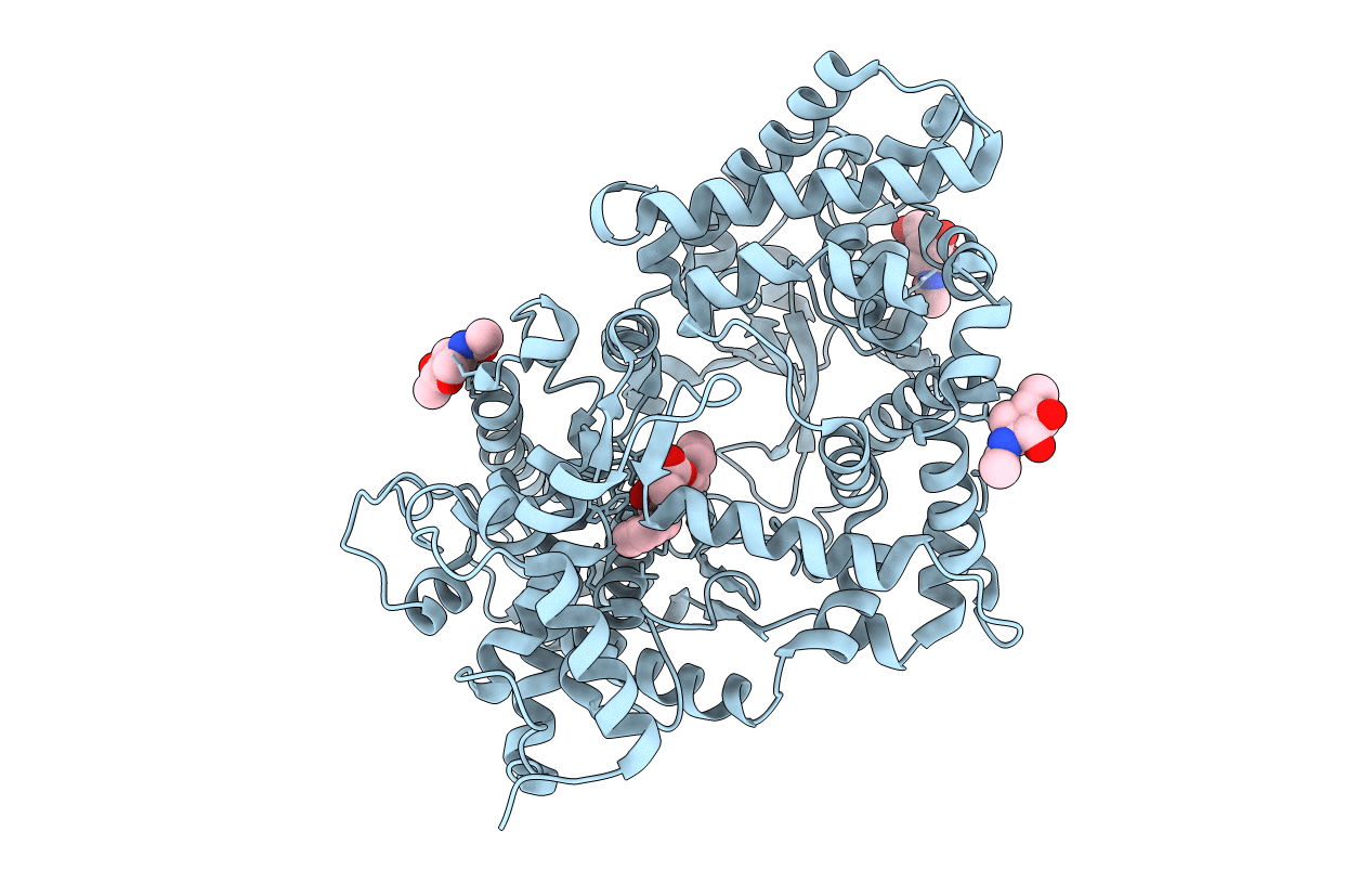 1R1I image