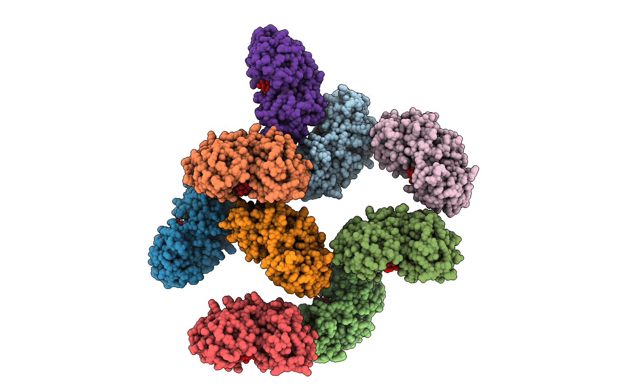 1R1N image