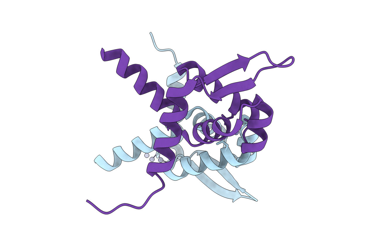 1R1V image