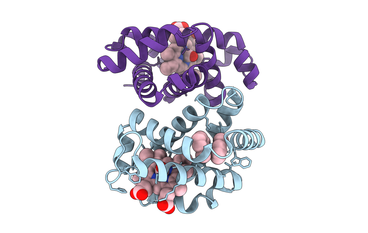 1R1X image