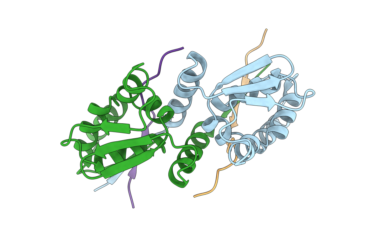 1R2B image