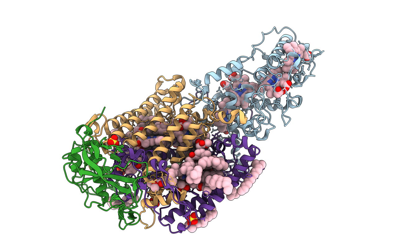 1R2C image