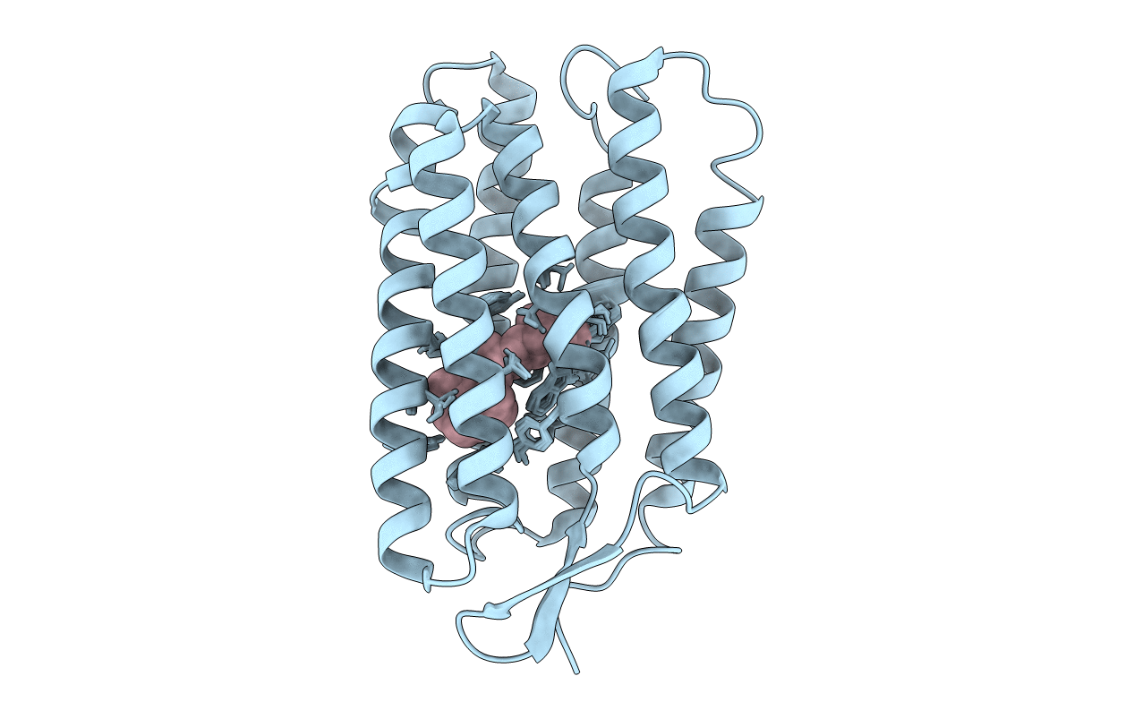1R2N image