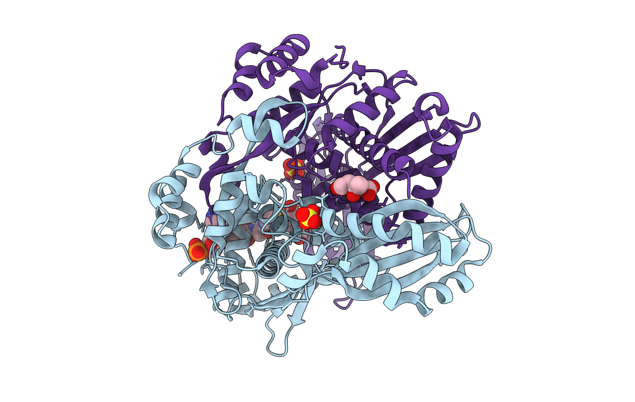 1R31 image