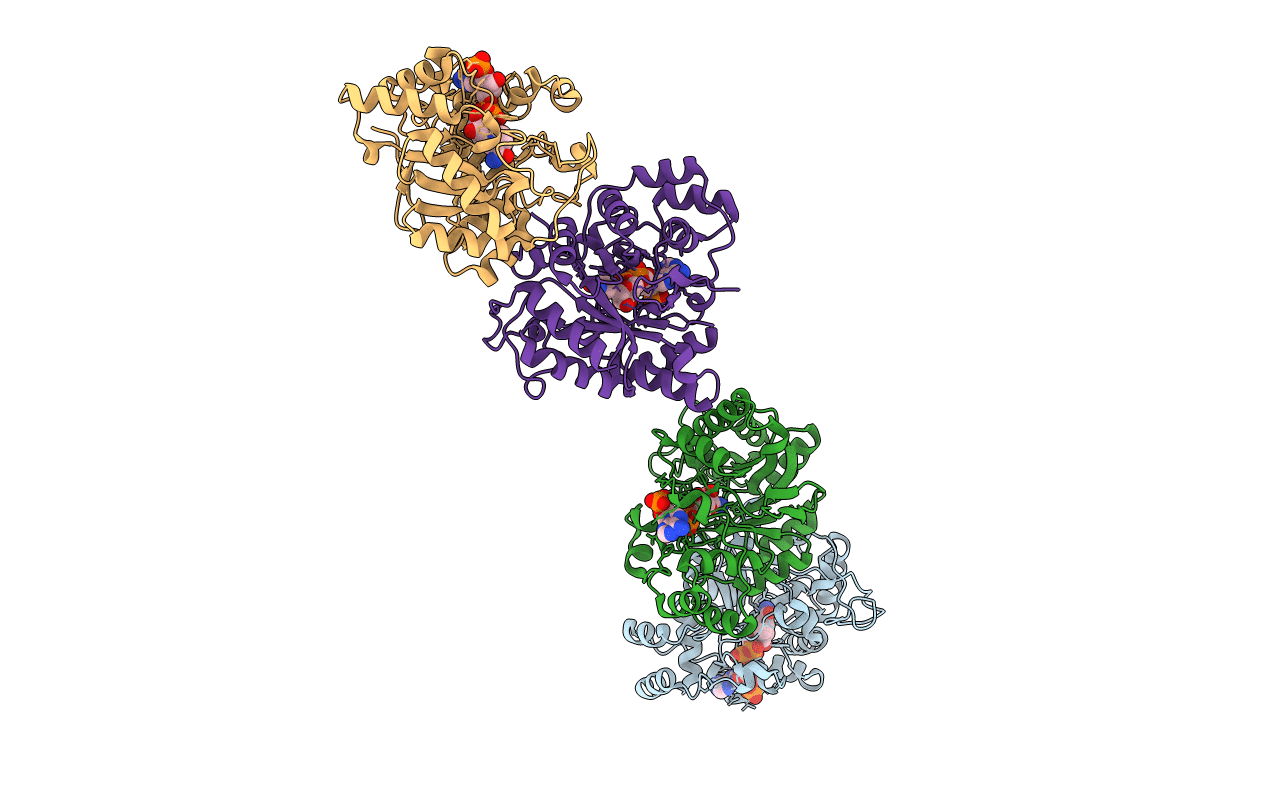 1R38 image