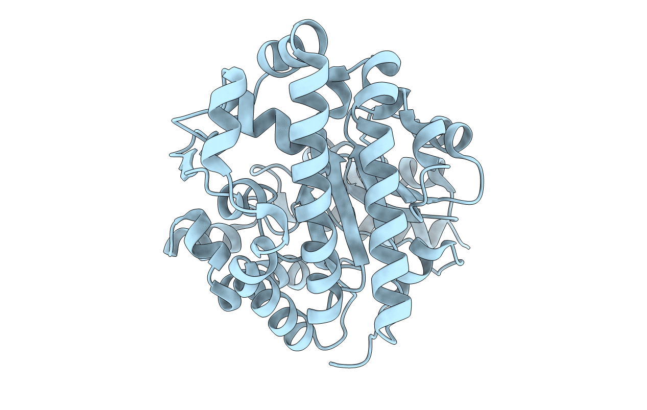 1R3R image