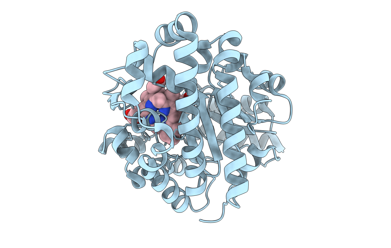 1R3S image