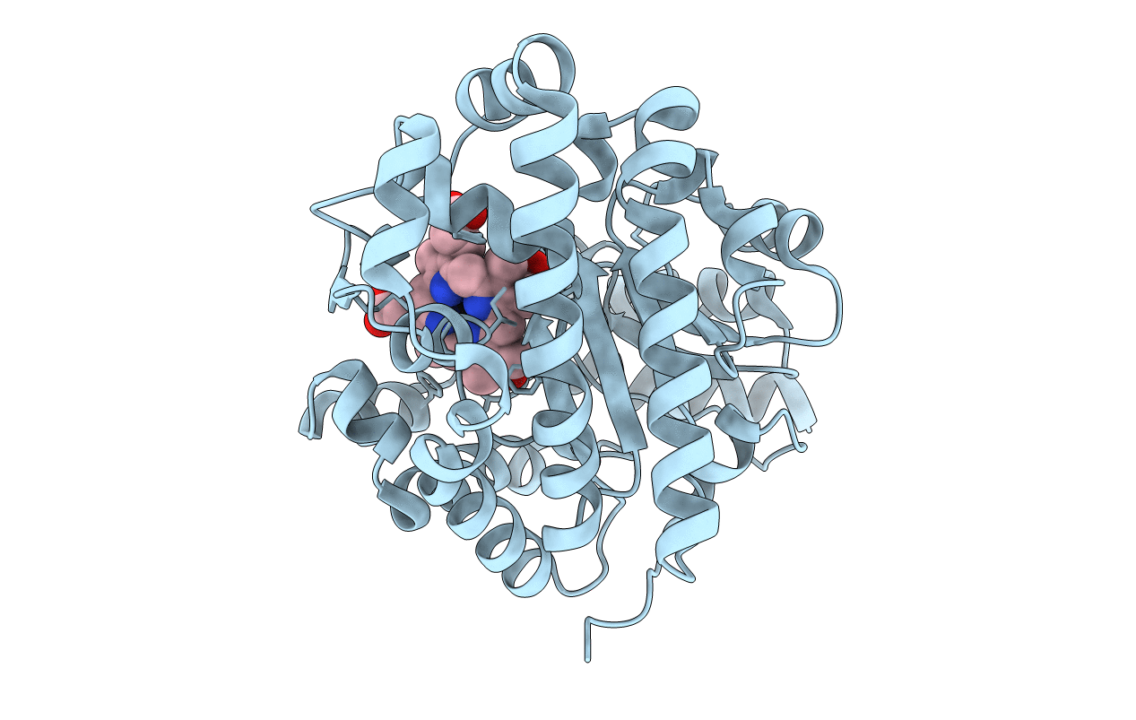 1R3V image