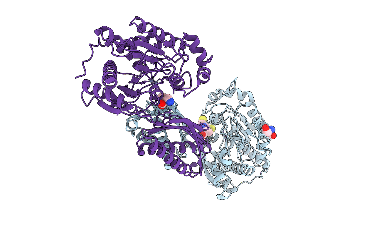 1R43 image