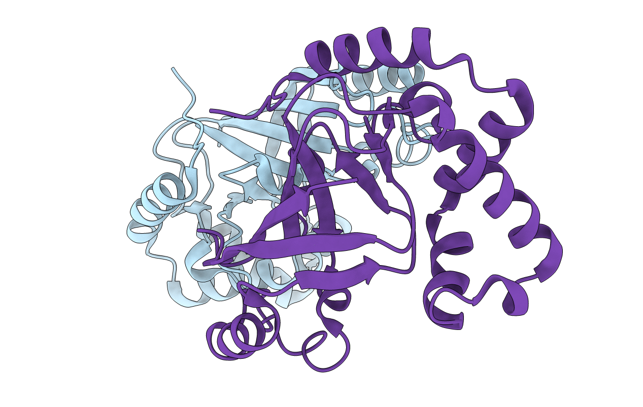 1R4B image