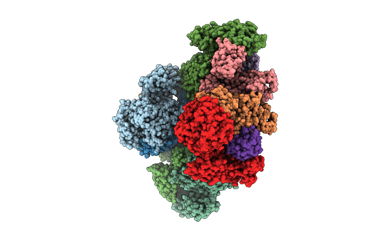 1R4M image