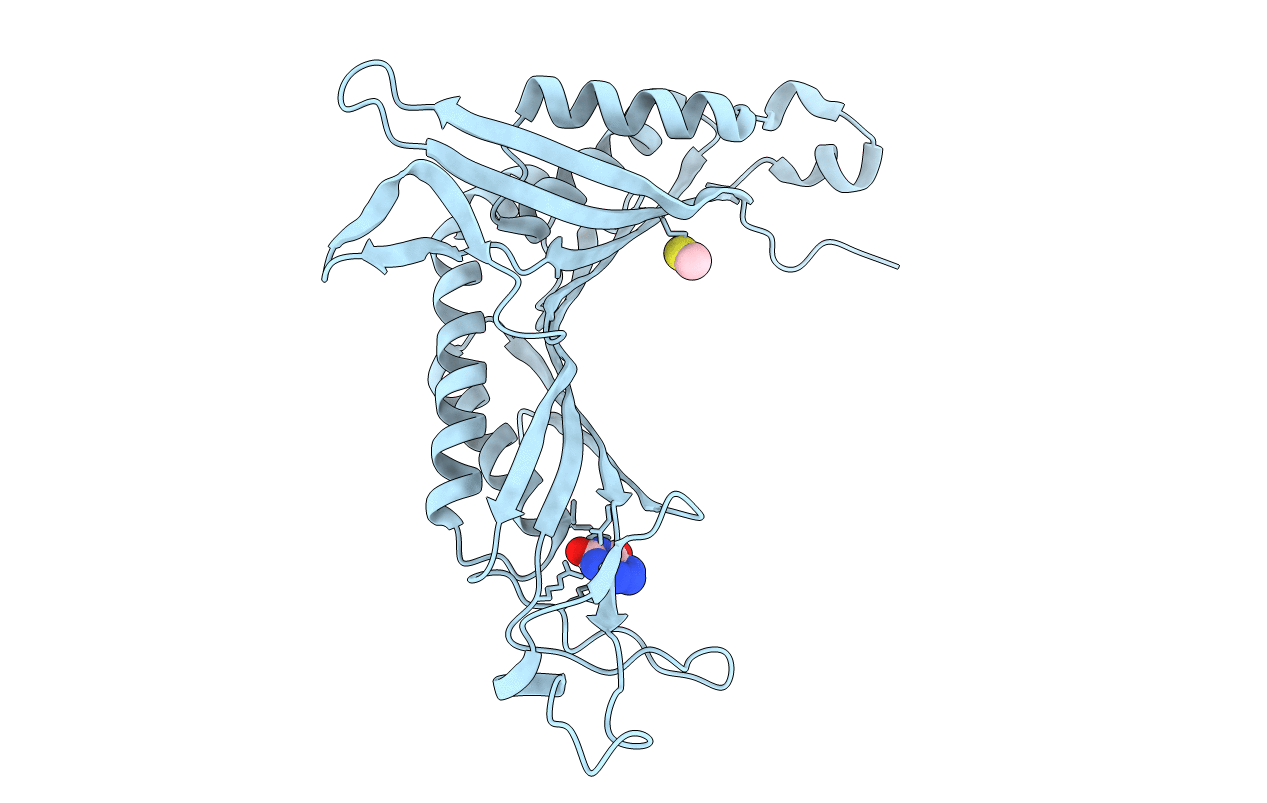 1R51 image