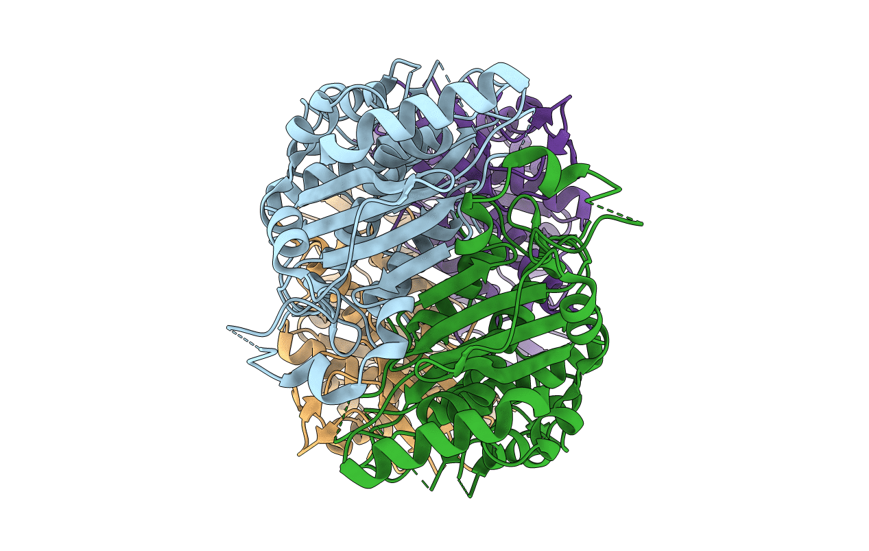 1R52 image