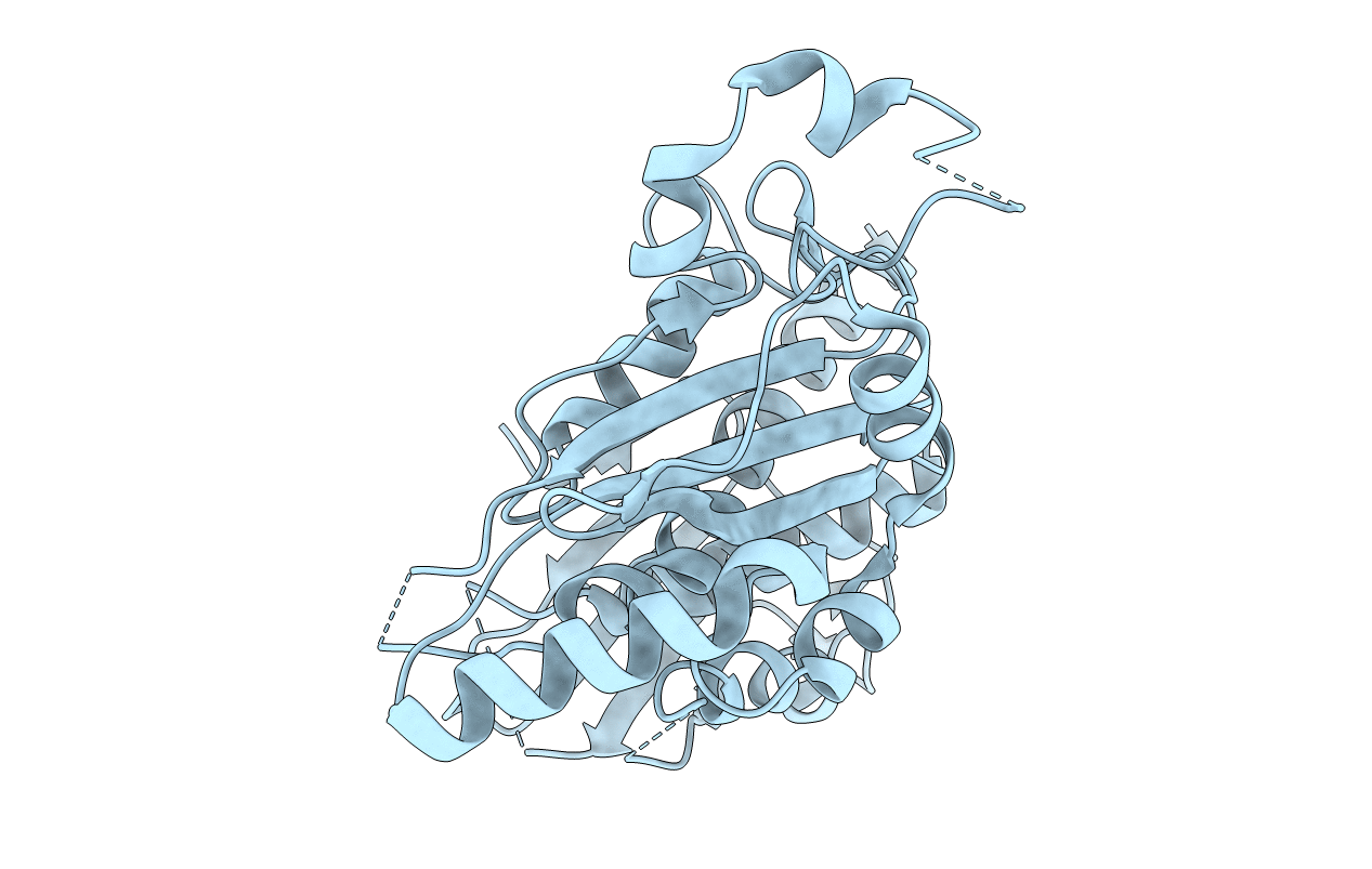 1R53 image