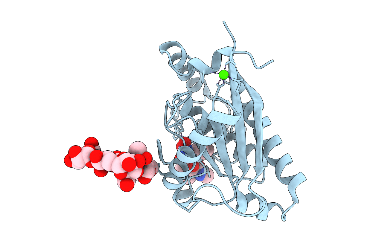 1R55 image