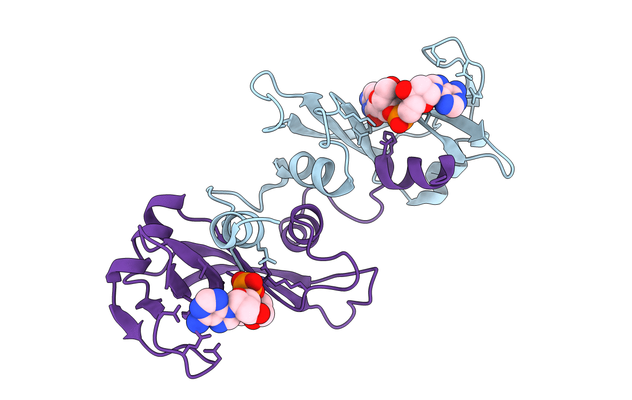 1R5C image