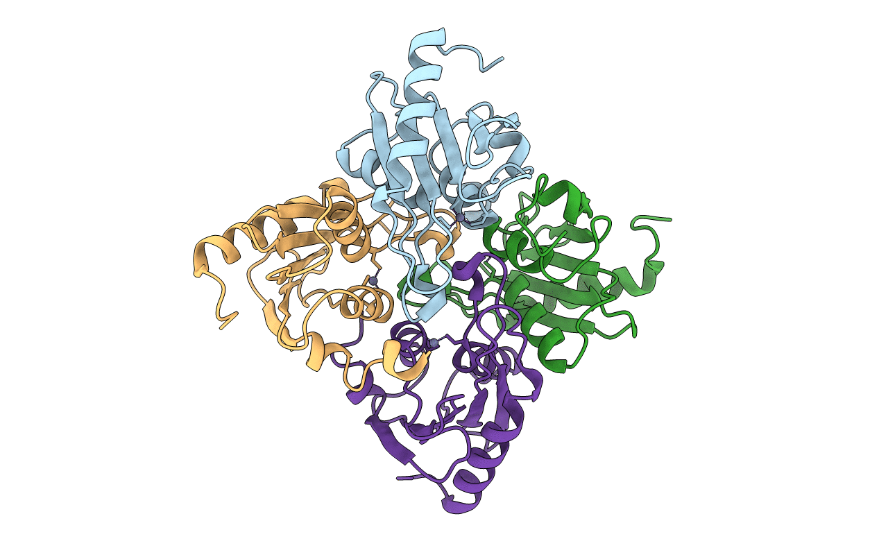 1R5T image