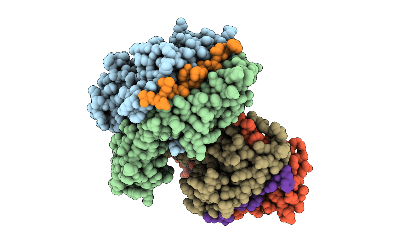 1R5V image