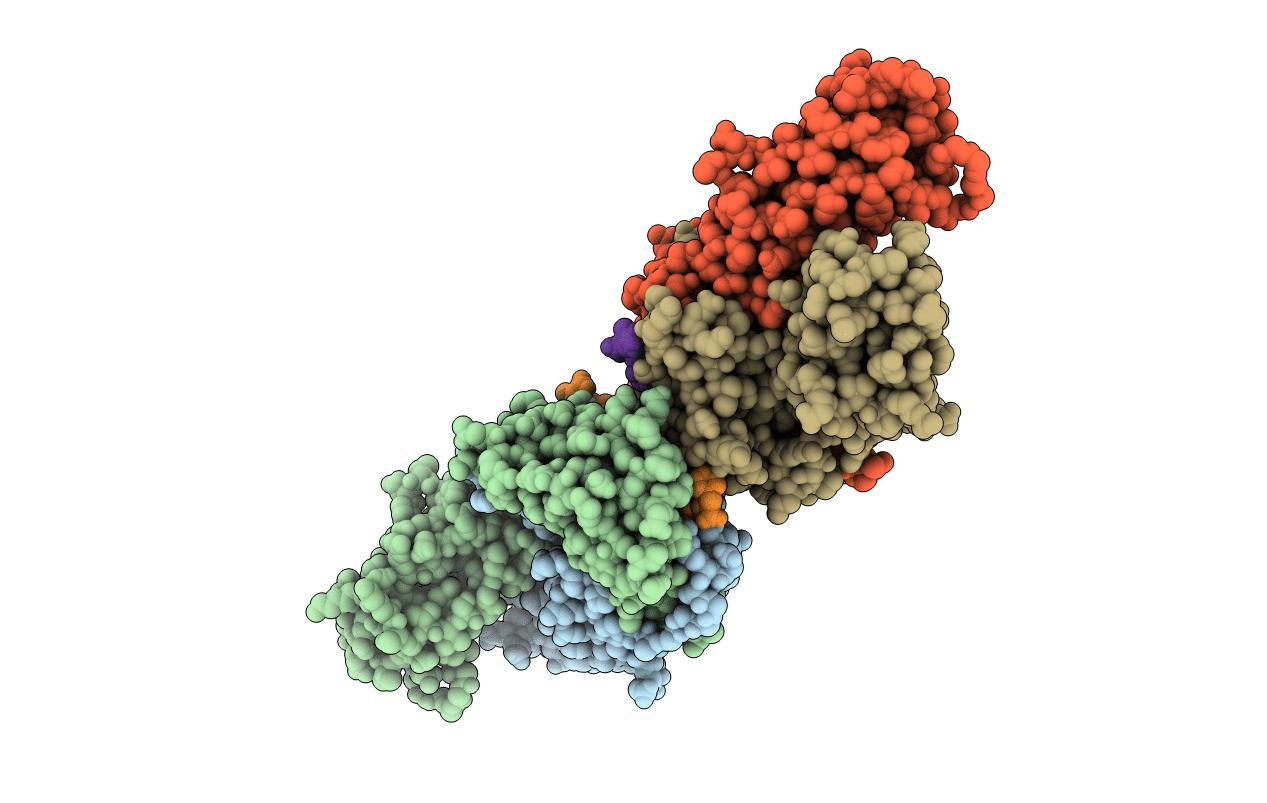 1R5W image