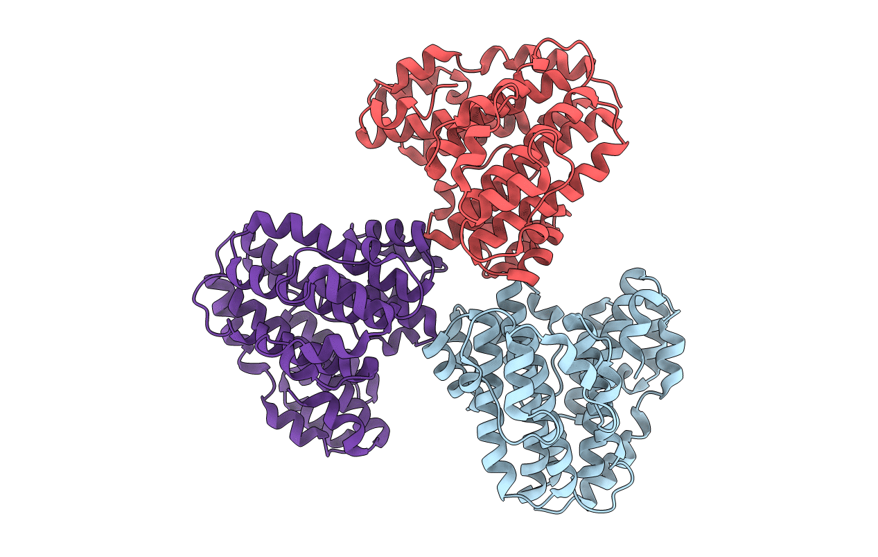 1R5Z image
