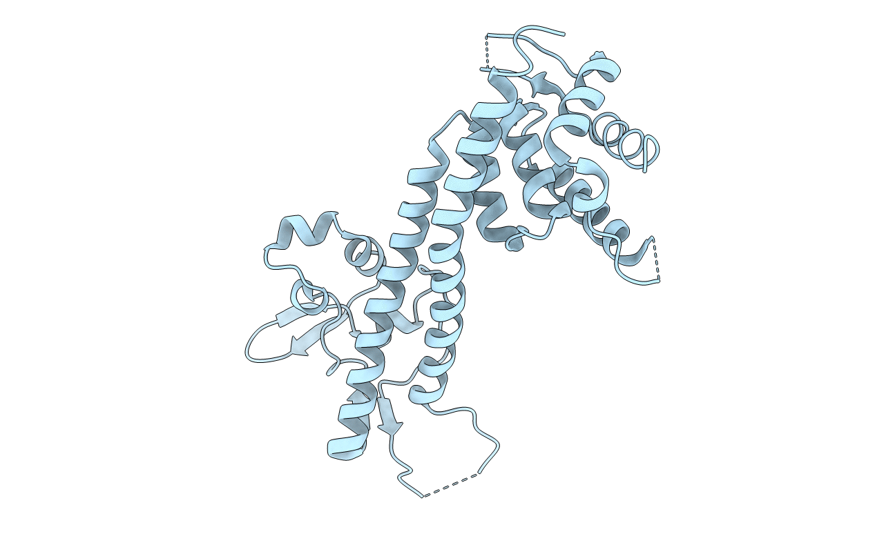 1R6F image